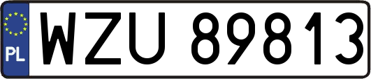 WZU89813