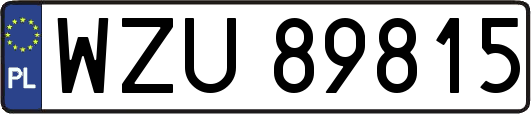 WZU89815
