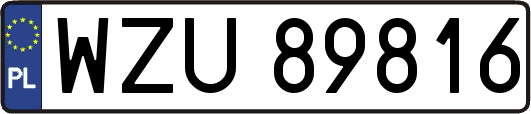 WZU89816