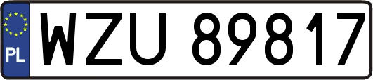 WZU89817