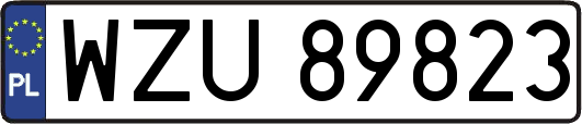 WZU89823