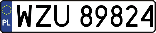 WZU89824