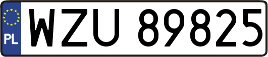 WZU89825