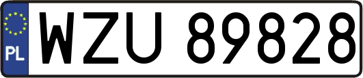 WZU89828
