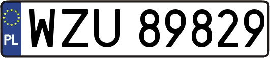 WZU89829