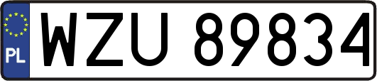 WZU89834