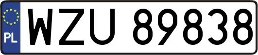 WZU89838