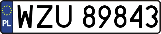 WZU89843