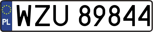 WZU89844