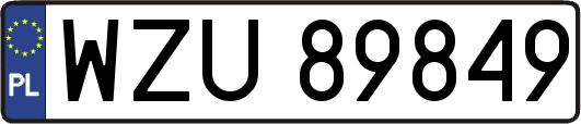 WZU89849