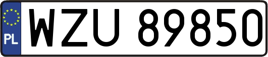 WZU89850