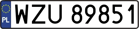 WZU89851