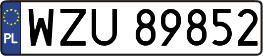 WZU89852