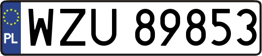 WZU89853