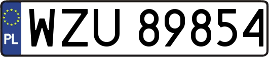 WZU89854