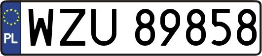 WZU89858