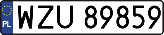 WZU89859