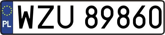WZU89860