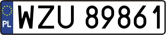 WZU89861
