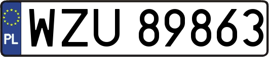 WZU89863