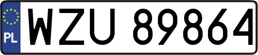 WZU89864