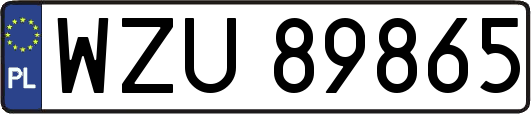 WZU89865
