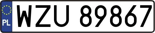 WZU89867
