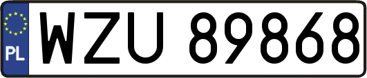 WZU89868