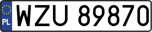 WZU89870