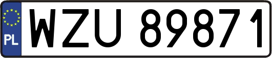 WZU89871