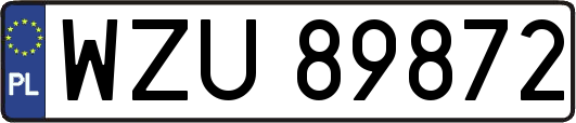 WZU89872