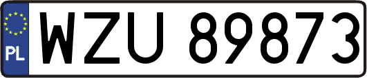 WZU89873