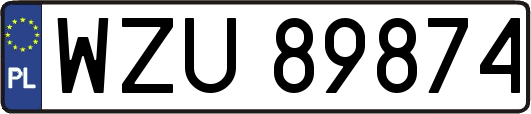WZU89874