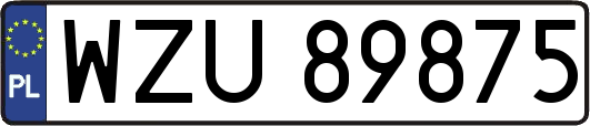 WZU89875