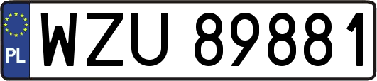 WZU89881