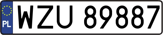 WZU89887