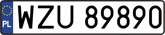 WZU89890