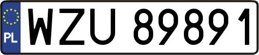 WZU89891