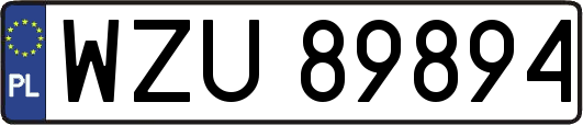 WZU89894