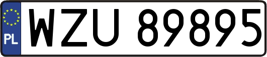 WZU89895