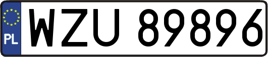 WZU89896