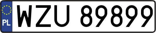 WZU89899