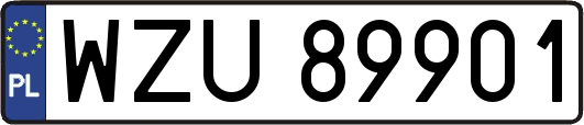 WZU89901
