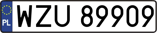 WZU89909