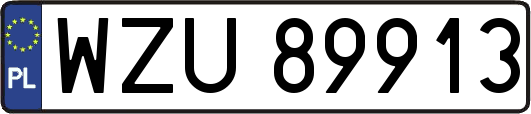WZU89913