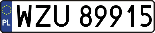 WZU89915