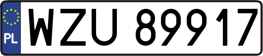 WZU89917
