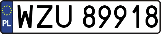 WZU89918