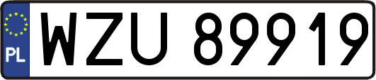 WZU89919