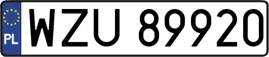 WZU89920